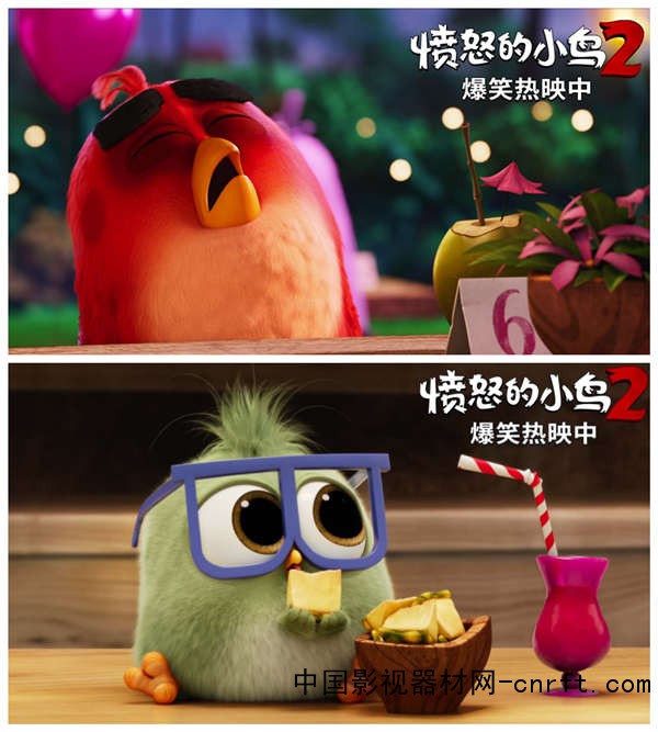 《愤怒的小鸟2》爆笑热映笑点满满获赞“社畜解压必备”