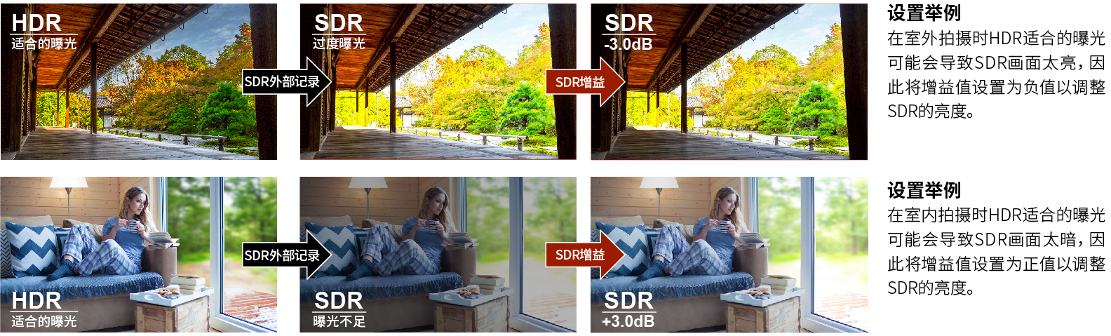 HDR转换为SDR的增益调整