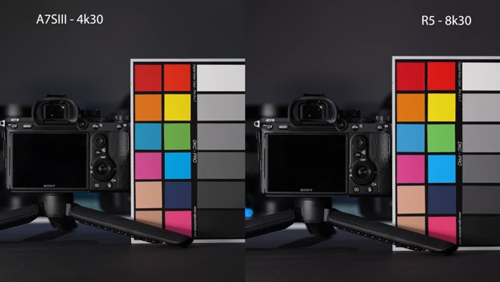 又一组对比,索尼A7S III vs 佳能EOS R5