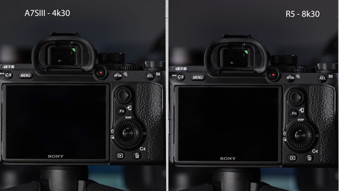 又一组对比,索尼A7S III vs 佳能EOS R5