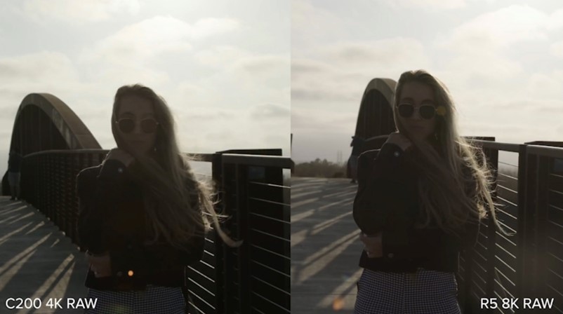EOS R5 vs C200,不同境界的对比