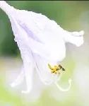 抖音干货分享| 抖音短视频拍摄技巧!