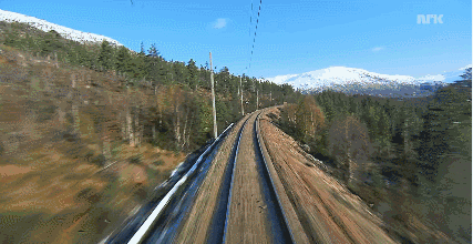 1657269400320005.gif 774.gif