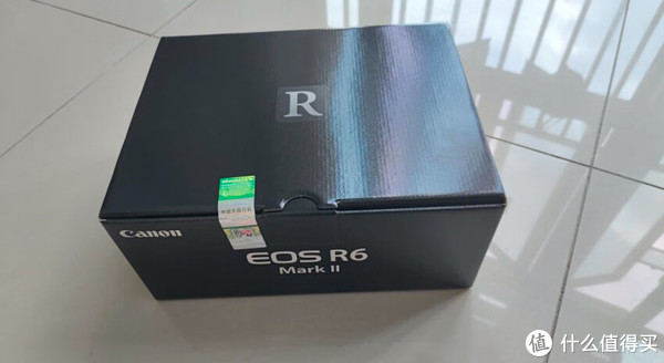 佳能EOS R8 vs EOS R6:性能、价格与性价比全解析,哪款更适合你? 佳能EOS R8 vs EOS R6:性能、价格与性价比全解析,哪款更适合你?